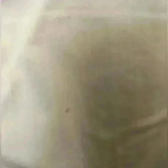 Chicos The So Slimming Collection White Capri Denim Embellished Pants Jeans XL? - Picture 5 of 11